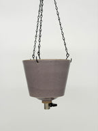 'Hyacinth' Fox Pot v2