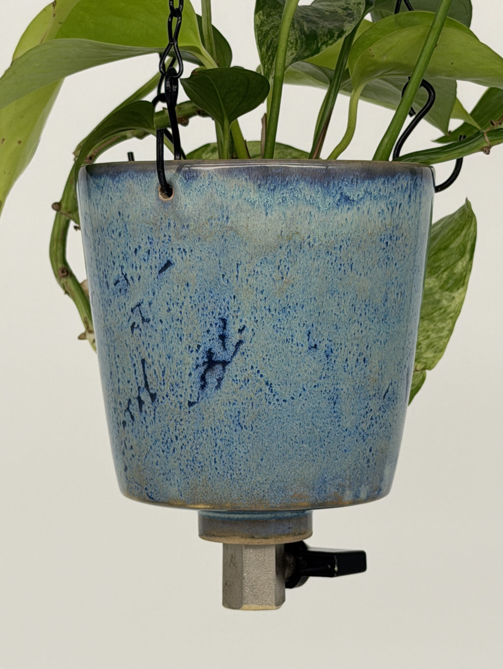 'Ocean Mist' Fox Pot v2