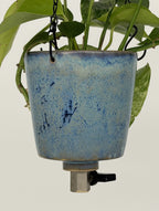 'Ocean Mist' Fox Pot v2
