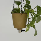 'Desert Sand' Fox Pot v2