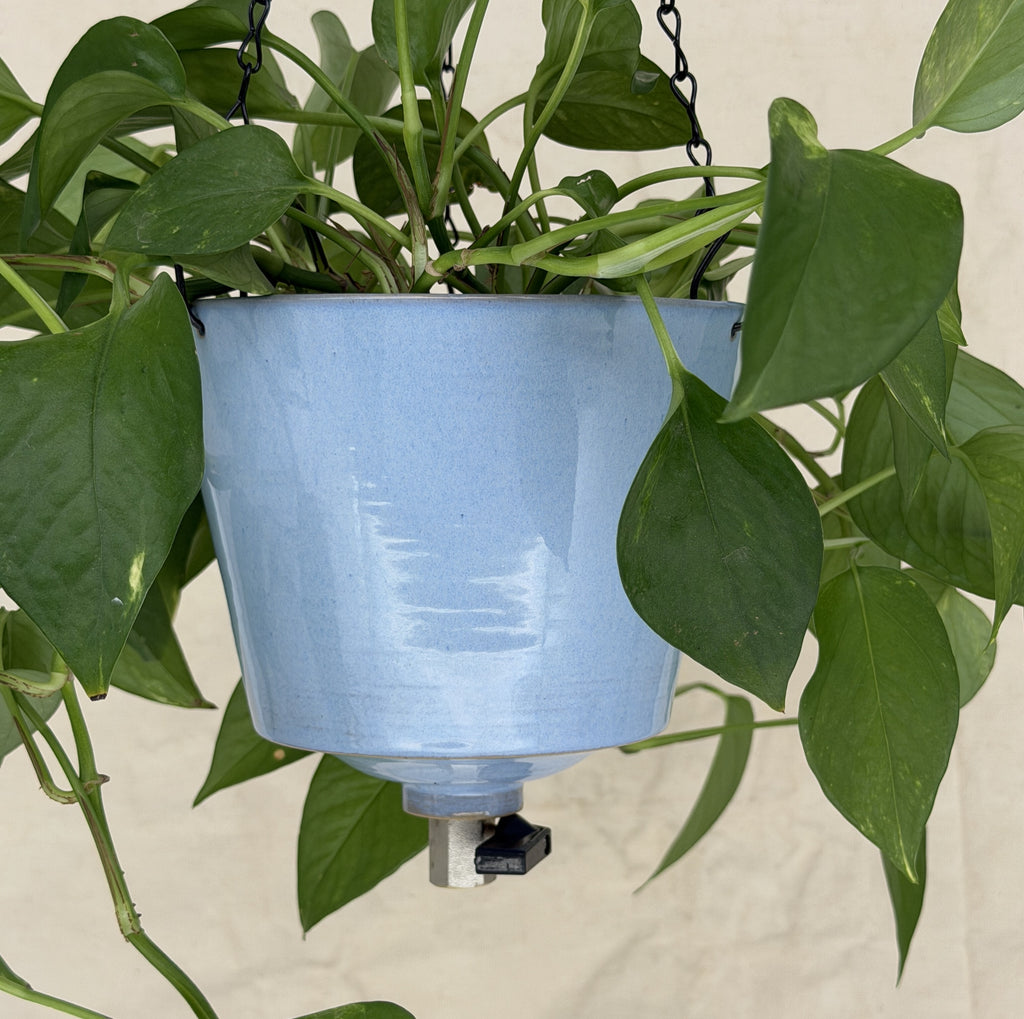 'Powder Blue' Fox Pot v2