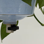 'Powder Blue' Fox Pot v2