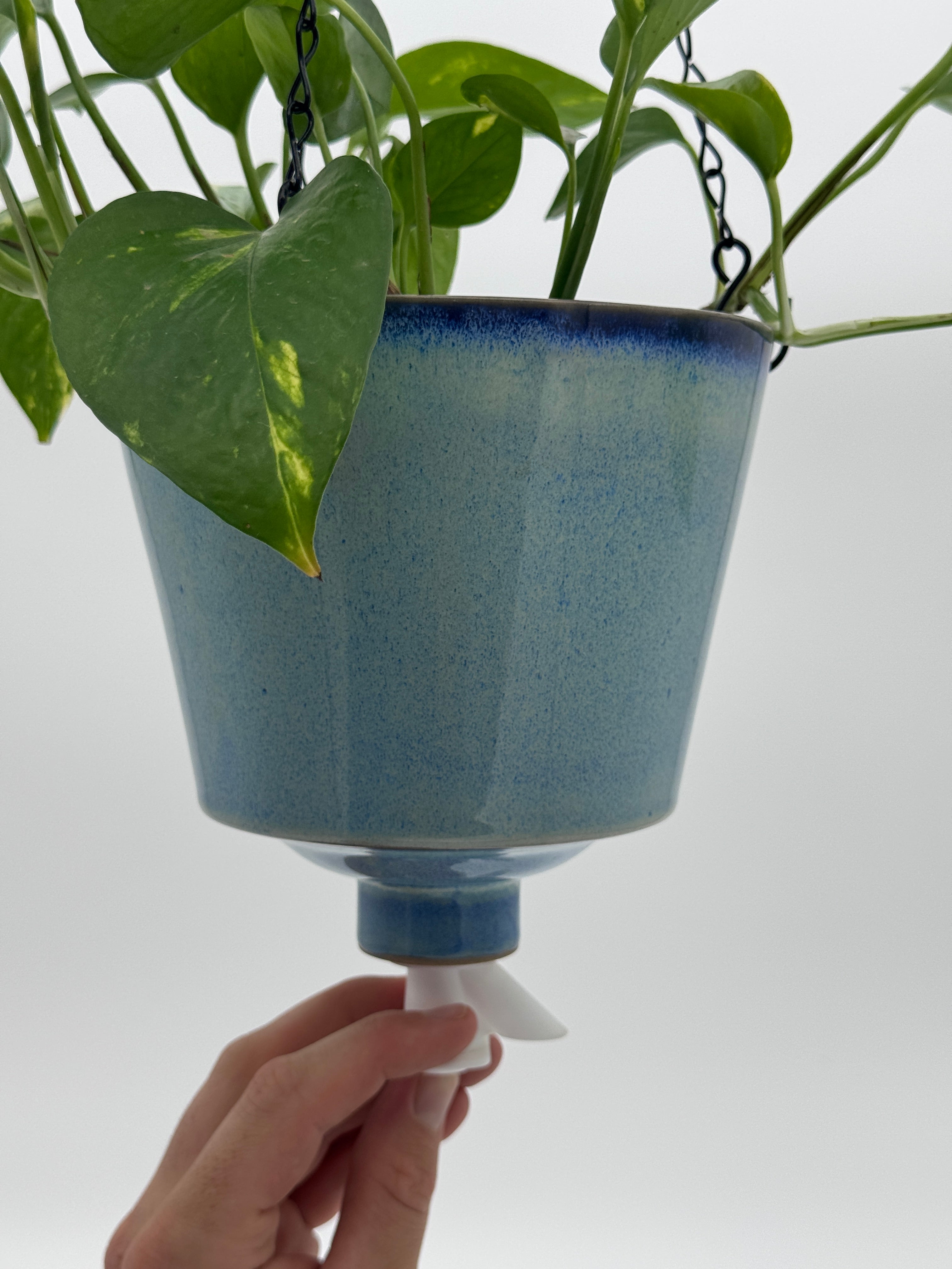 'Sea Mist' Fox Pot