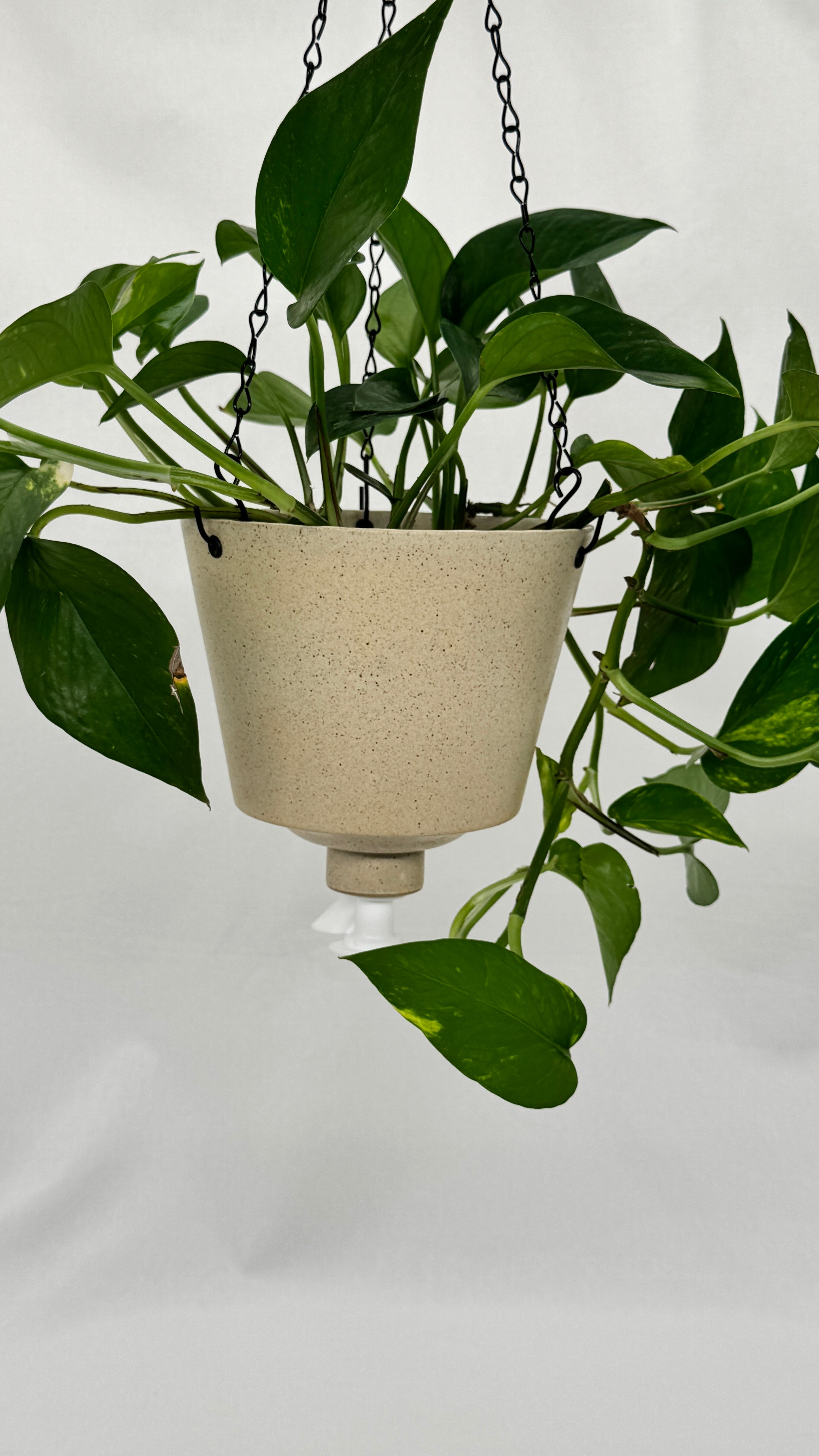 'Toasted Oatmeal' Fox Pot